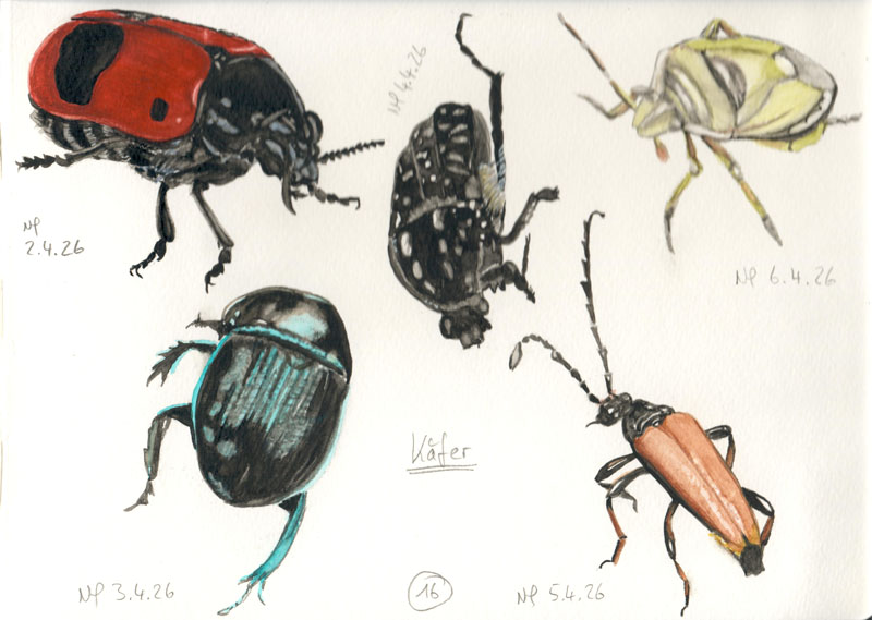 Bugs, Nicole Hörold